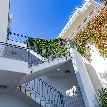 Sirenetta Pt - Myho Casa